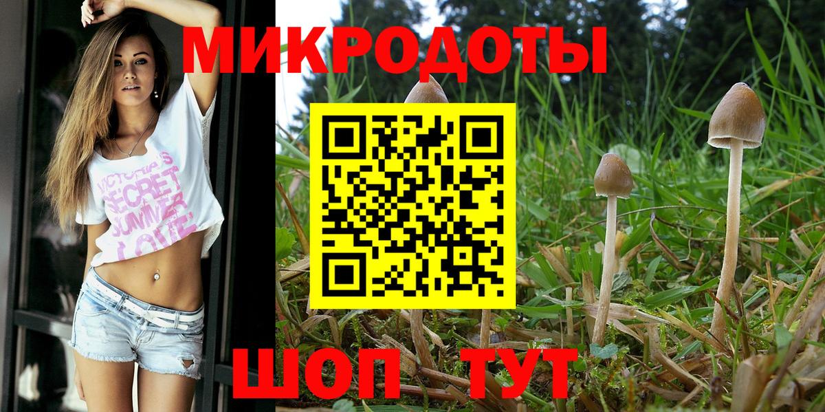 Псилоцибиновые грибы MAGIC MUSHROOMS  что такое   Вход с VPN  Медногорск  Псилоцибиновые грибы мухоморы 