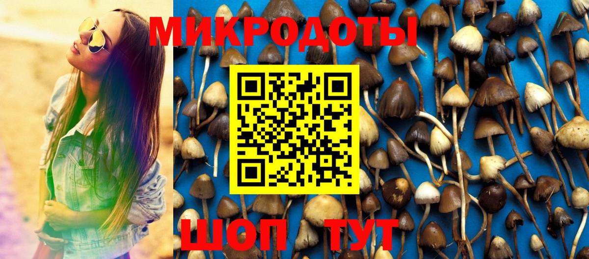 Псилоцибиновые грибы Psilocybine cubensis Медногорск